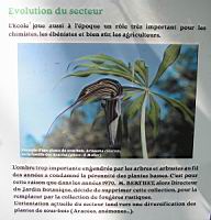 02 - Le jardin d'ombre - des plantes medicinales aus plantes de sous-bois (2).jpg